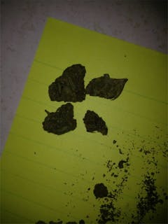 User uploaded image of Diesel Duff