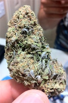 User uploaded image of Earthquake