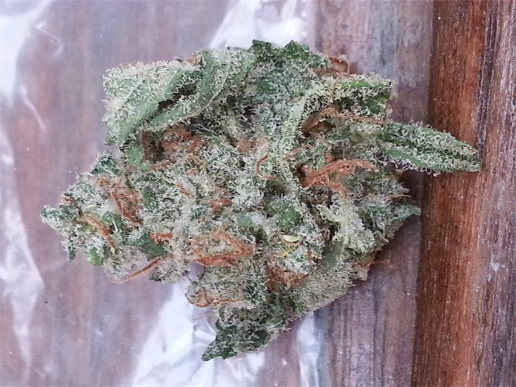 Frosty Marijuana Strain Information Leafly