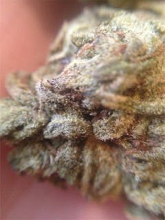 User uploaded image of Goldwing