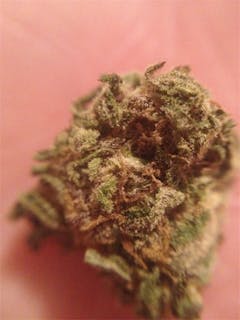 User uploaded image of Goldwing