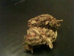 User uploaded image of Hawaiian Sativa