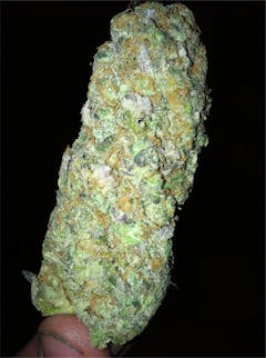 User uploaded image of Hawaiian Thunder Fuck