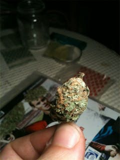 User uploaded image of Jack Haze