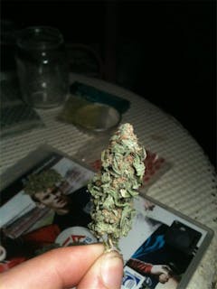 User uploaded image of Jack Haze