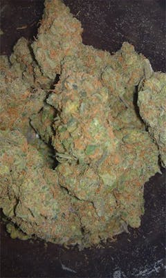 User uploaded image of Jack Wreck