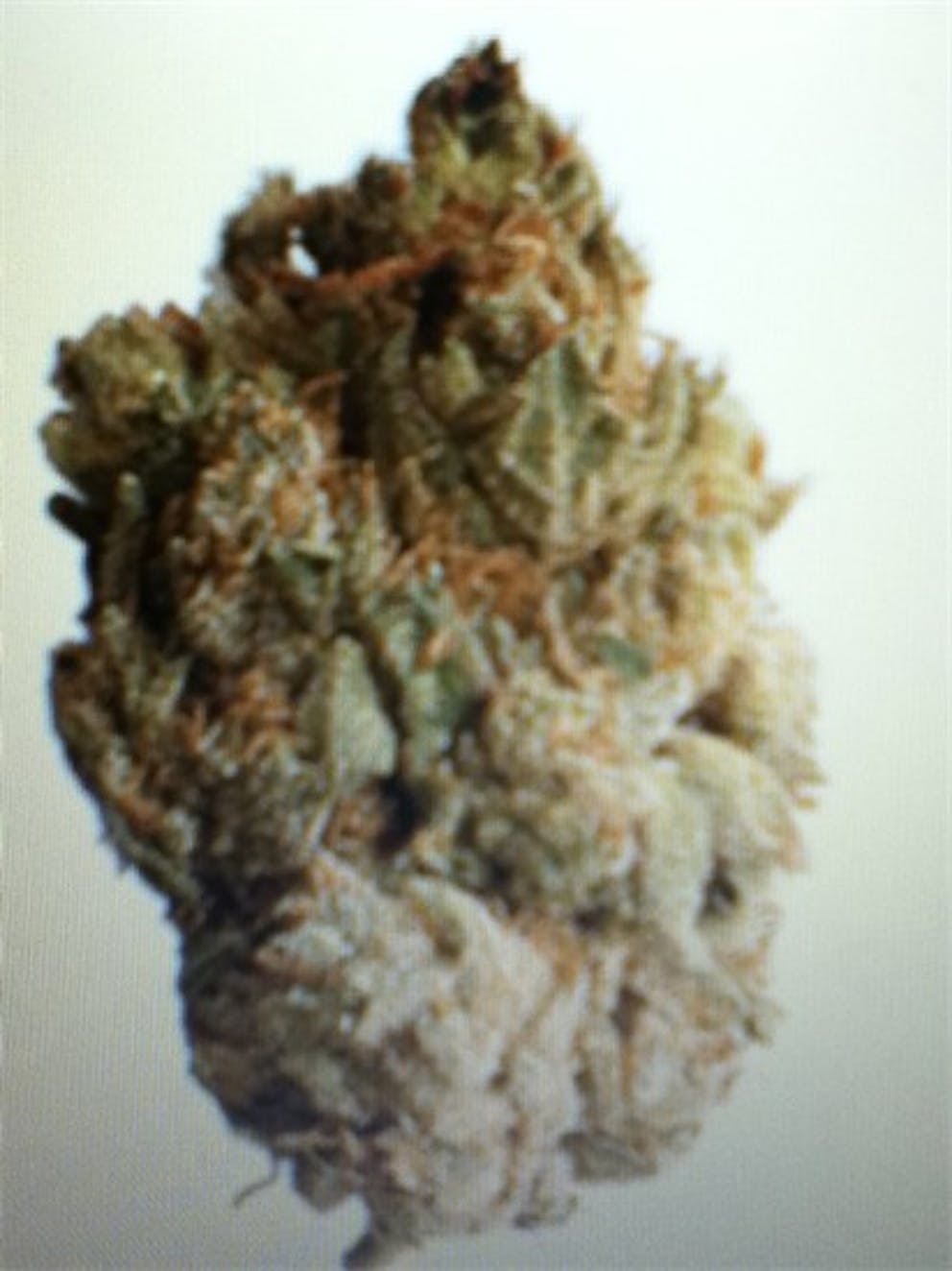 Photos of Jupiter OG Weed Strain Buds Leafly