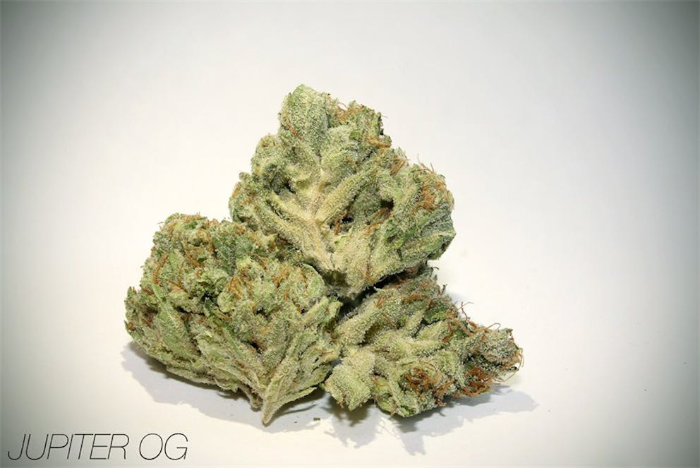 Photos of Jupiter OG Weed Strain Buds Leafly