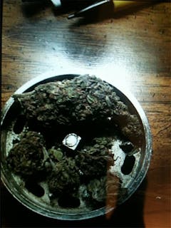 User uploaded image of Kahuna