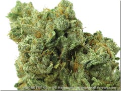 User uploaded image of Nuggetry OG