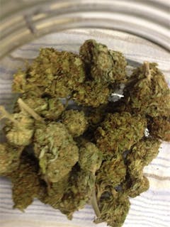 User uploaded image of Neptune Kush