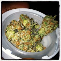 User uploaded image of P-51