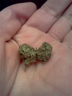 User uploaded image of P-51