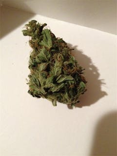 User uploaded image of Poison Haze