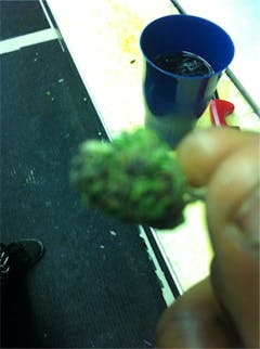 User uploaded image of Purple Tonic