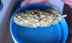 User uploaded image of Shipwreck