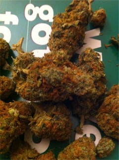 User uploaded image of Skydog