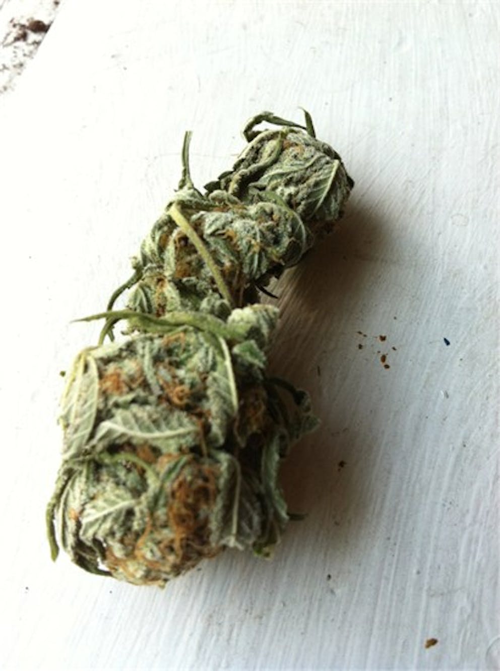 Photos of Sugar Shack Weed Strain Buds Leafly