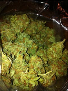 User uploaded image of Super Cat Piss