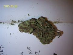 User uploaded image of Thai Haze