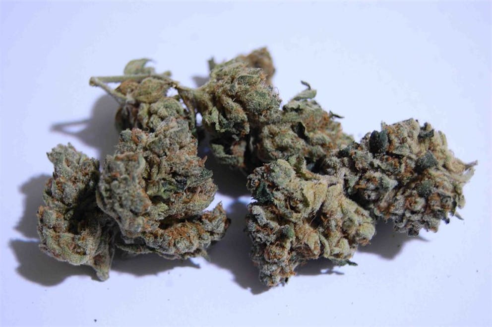 Photos of Sour Cream Weed Strain Buds Leafly