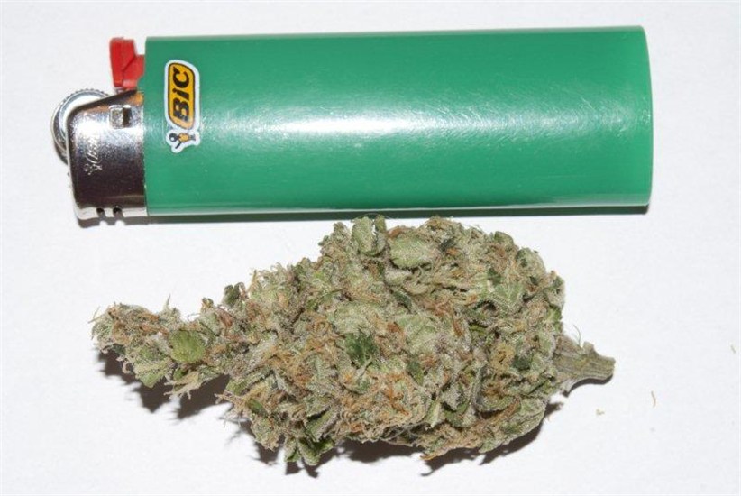 Trifecta Marijuana Strain Information Leafly