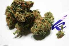 User uploaded image of Venice OG