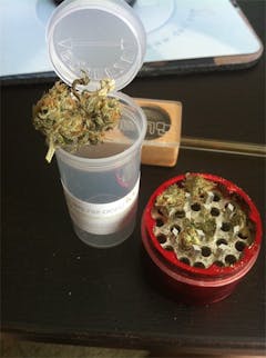 User uploaded image of White Zombie