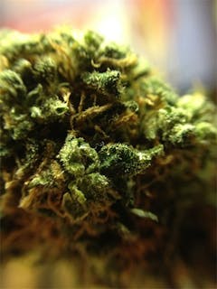User uploaded image of Wonder Haze