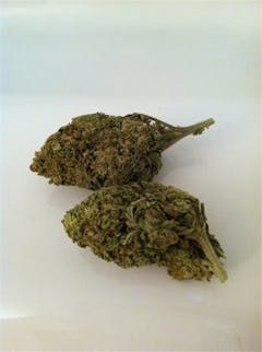 User uploaded image of Wonder Haze