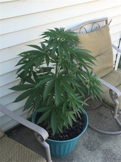 User uploaded image of A-10