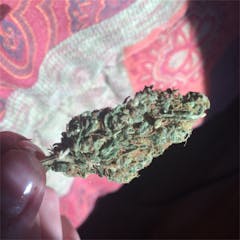 User uploaded image of A-10