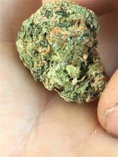 User uploaded image of A-10