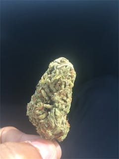 User uploaded image of A-10