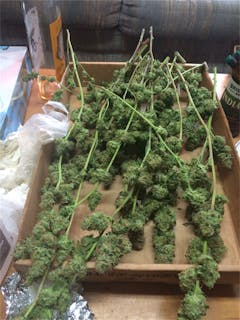 User uploaded image of Aberdeen