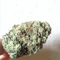 User uploaded image of Abusive OG