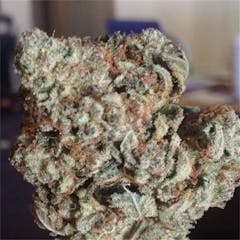 User uploaded image of Abusive OG