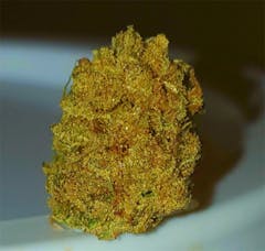 User uploaded image of Acapulco Gold