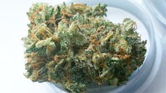 User uploaded image of ACDC