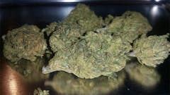 User uploaded image of ACDC