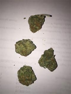 User uploaded image of ACDC