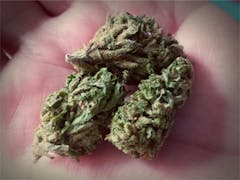 User uploaded image of ACDC