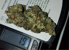 User uploaded image of Ace Killer OG