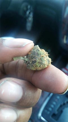 User uploaded image of Ace Killer OG