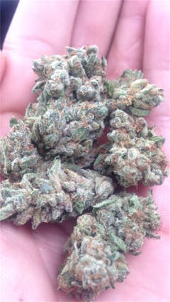 User uploaded image of Ace Killer OG