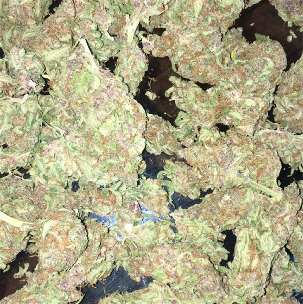 Ace of Spades Weed Strain Information Leafly