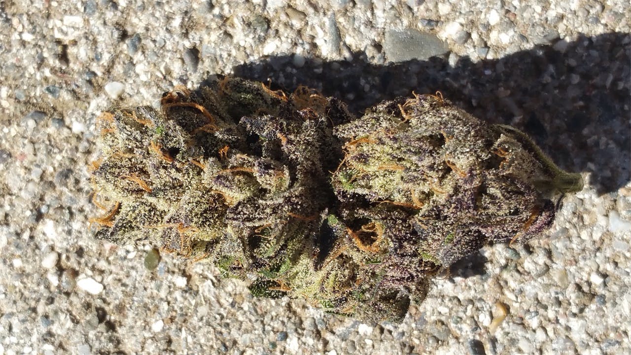 Photos of Ace of Spades Weed Strain Buds Leafly