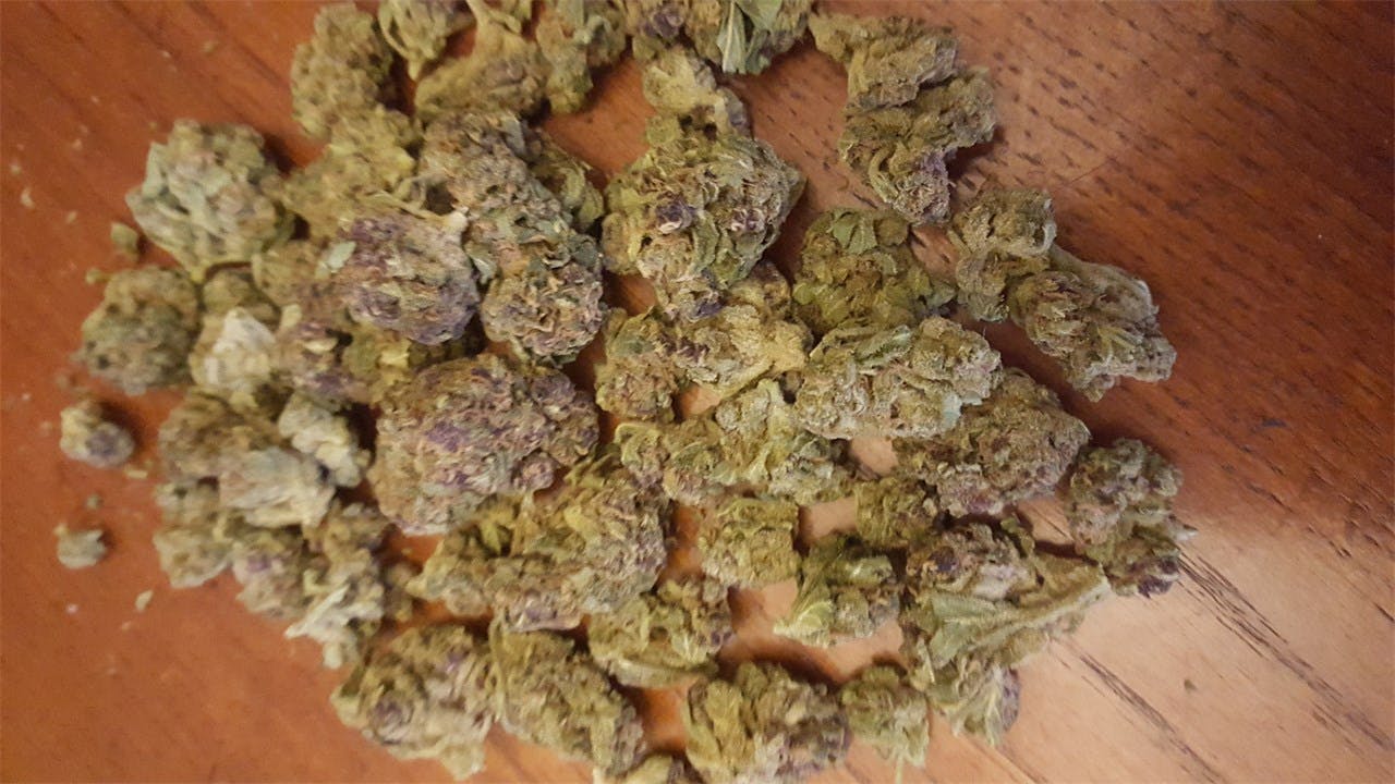 Ace of Spades Weed Strain Information Leafly