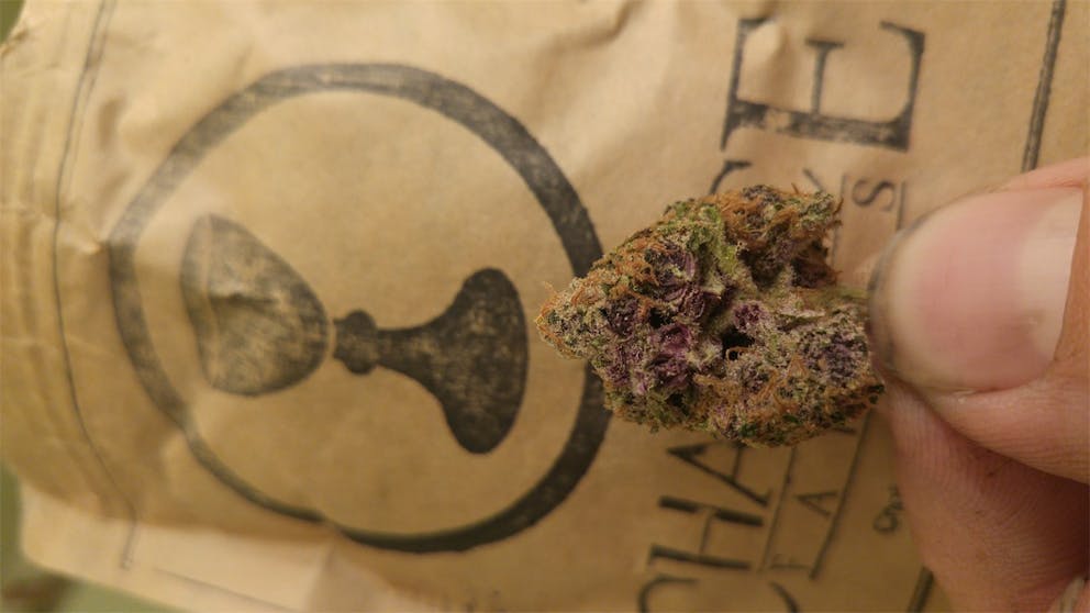 Photos of Ace of Spades Weed Strain Buds Leafly