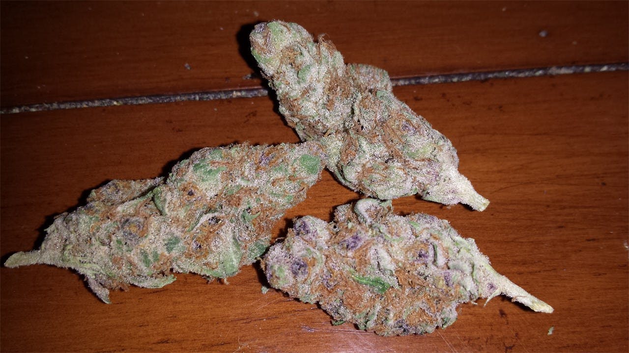 Ace of Spades Weed Strain Information Leafly